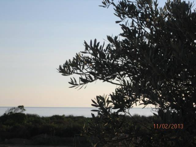 Villa T3 Bord De Mer - Vue Mer A 500 M De La Plage- Piscine Chauffee A Casetta Di A Spiaggia Cervione Esterno foto